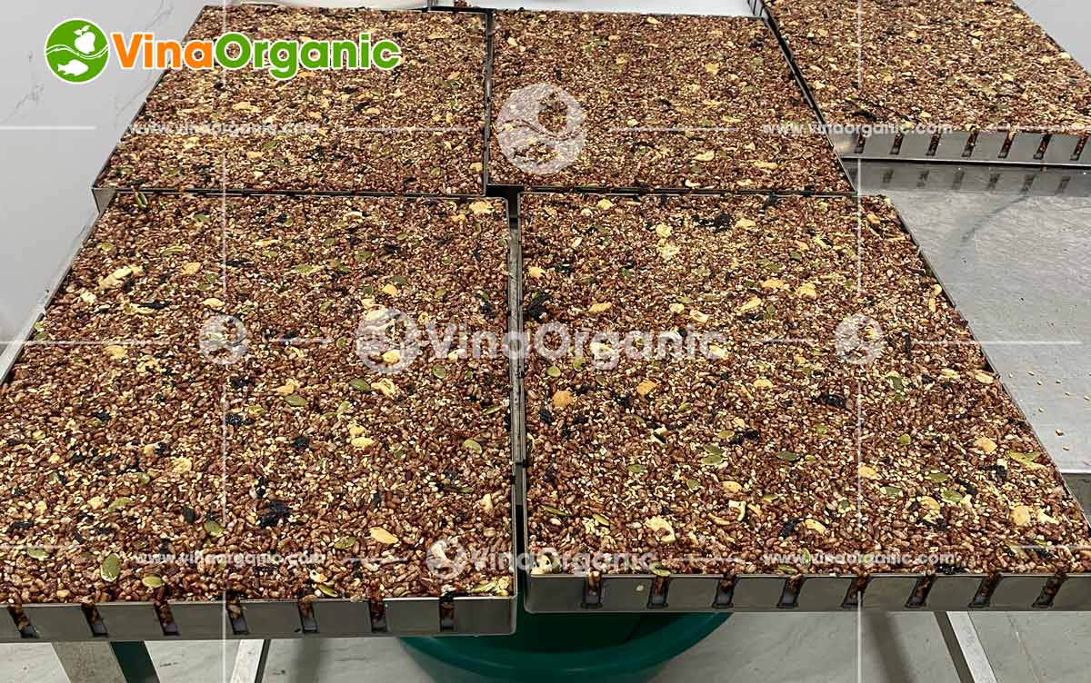 VinaOrganic sẽ là đối tác tin cậy của bạn. Với nhiều kinh nghiệm nhiều năm trong lĩnh vực chuyển giao công nghệ thực phẩm.