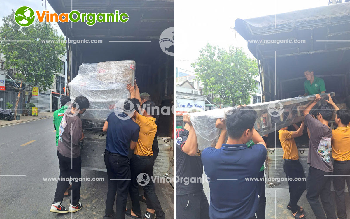 VinaOrganic sẽ là đối tác tin cậy của bạn. Với nhiều kinh nghiệm nhiều năm trong lĩnh vực chuyển giao công nghệ thực phẩm.