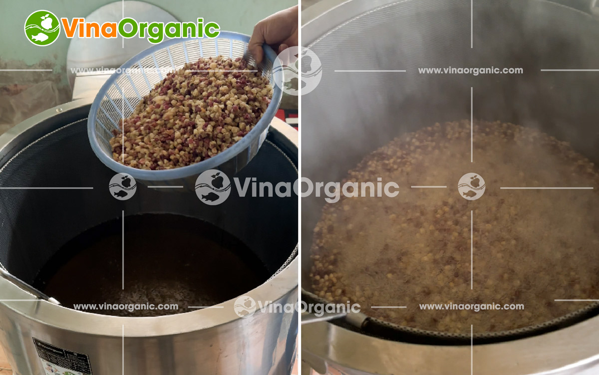 VinaOrganic bàn giao và lắp đặt dây chuyền sản xuất ngô cay tẩm vị toàn quốc. Liên hệ tư vấn: 0938 299798 - 0975 299798