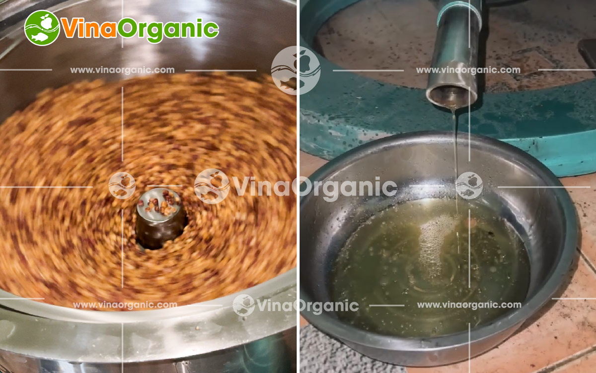VinaOrganic bàn giao và lắp đặt dây chuyền sản xuất ngô cay tẩm vị toàn quốc. Liên hệ tư vấn: 0938 299798 - 0975 299798