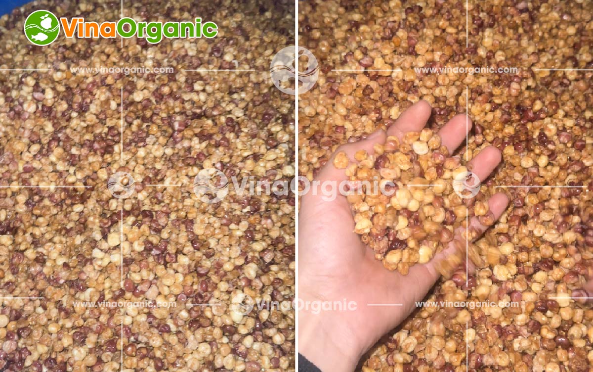 VinaOrganic bàn giao và lắp đặt dây chuyền sản xuất ngô cay tẩm vị toàn quốc. Liên hệ tư vấn: 0938 299798 - 0975 299798