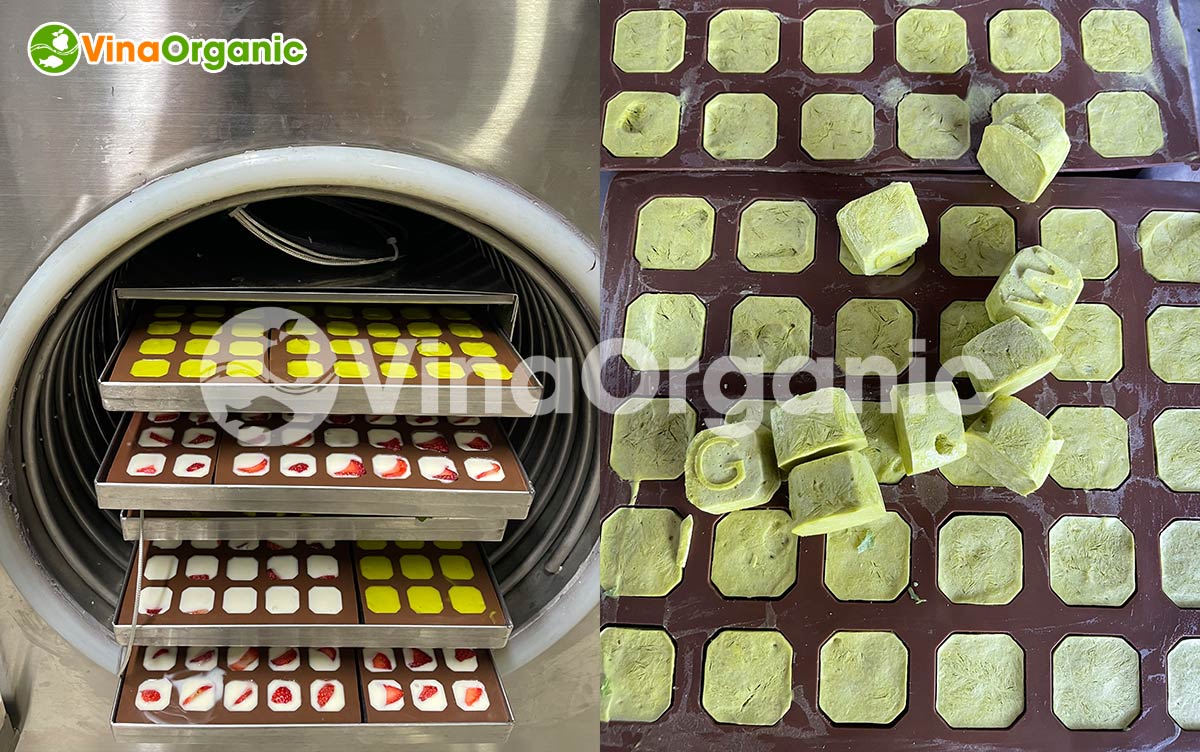 VinaOrganic chuyển giao công nghệ bơ sữa sấy thăng hoa giòn xốp, giữ nguyên màu sắc, giá trị dinh dưỡng. Liên hệ ngay Hotline/zalo 0975299798 - 0938299798.