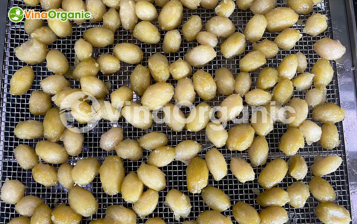 VinaOrganic chuyển giao công nghệ và máy sản xuất Cóc bao tử sấy dẻo chua ngọt cay hài hoà. Liên hệ ngay Hotline Zalo 0938299798 – 0975299798.