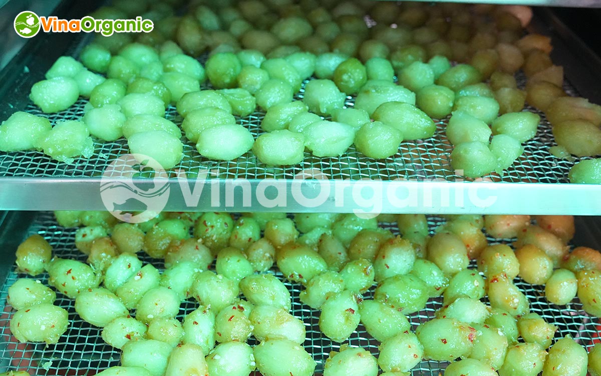 VinaOrganic chuyển giao công nghệ và máy sản xuất Cóc bao tử sấy dẻo chua ngọt cay hài hoà. Liên hệ ngay Hotline Zalo 0938299798 – 0975299798.