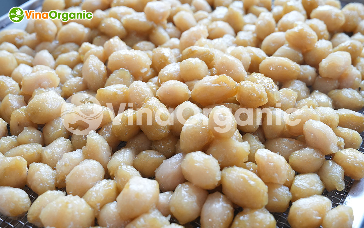 VinaOrganic chuyển giao công nghệ và máy sản xuất Cóc bao tử sấy dẻo chua ngọt cay hài hoà. Liên hệ ngay Hotline Zalo 0938299798 – 0975299798.