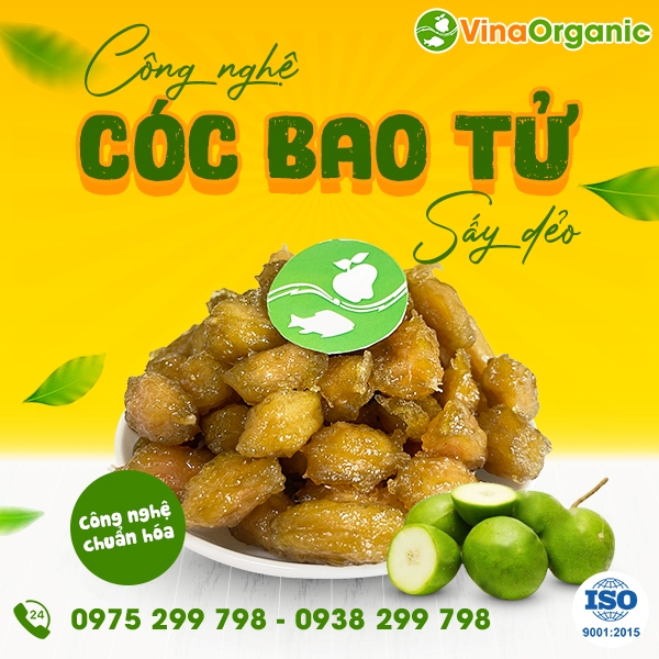Chuyển giao công nghệ Cóc bao tử sấy dẻo chua cay ngọt hài hoà