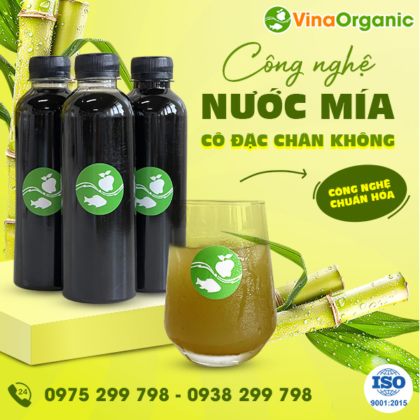 Chuyển giao công nghệ nước mía cô đặc chân không hương vị ngọt thanh