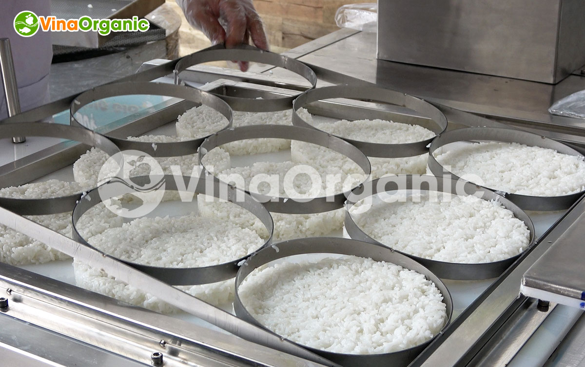 Định hình sản phẩm hoàn hảo với máy ép tạo hình của VinaOrganic. Tối ưu chi phí, nâng cao năng suất. Liên hệ tư vấn miễn phí!