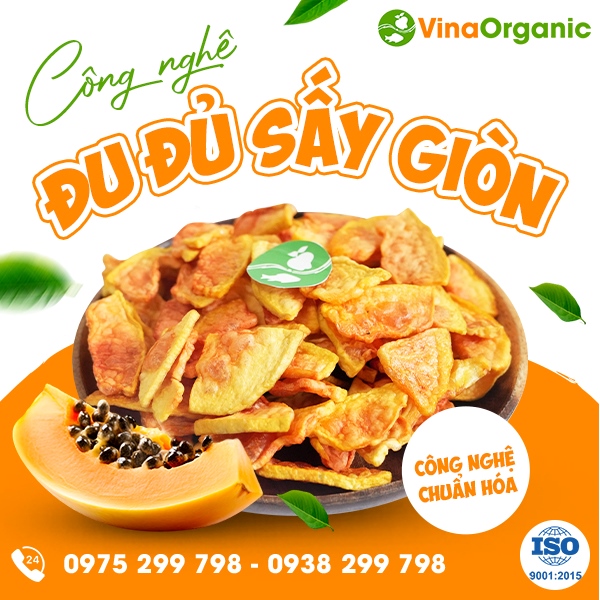 Chuyển giao công nghệ đu đủ sấy giòn rụm, không ngấm dầu