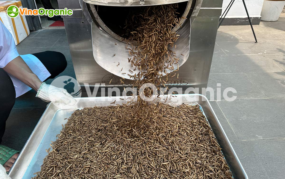 VinaOrganic chuyển giao công nghệ và máy thiết bị rang sâu canxi giòn xốp, căng phồng. Gọi ngay hotline 0938299798 - 0975299798