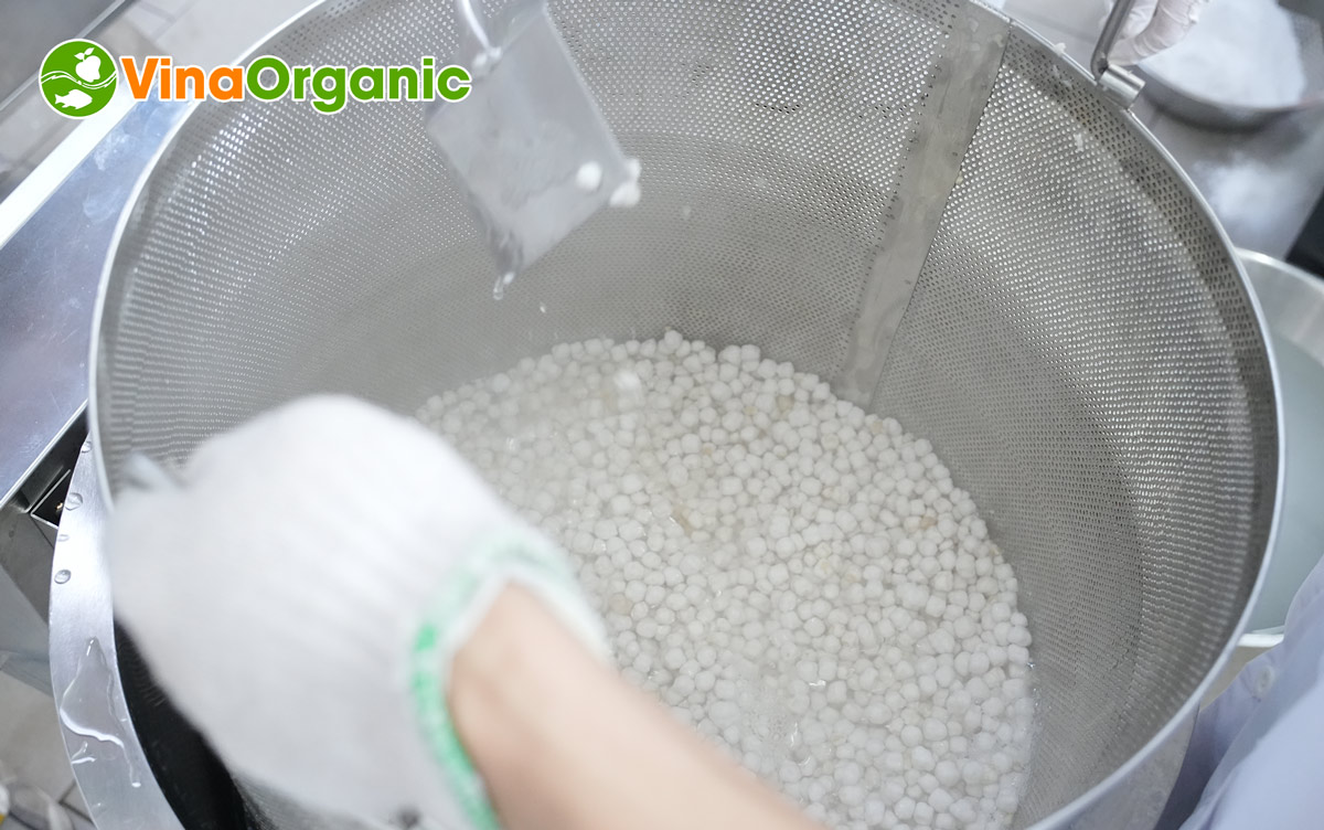 VinaOrganic cung cấp dây chuyền sản xuất trân châu củ năng dai giòn, năng suất cao, uy tín chất lượng. Liên hệ Hotline/zalo 0975299798 - 0938299798.