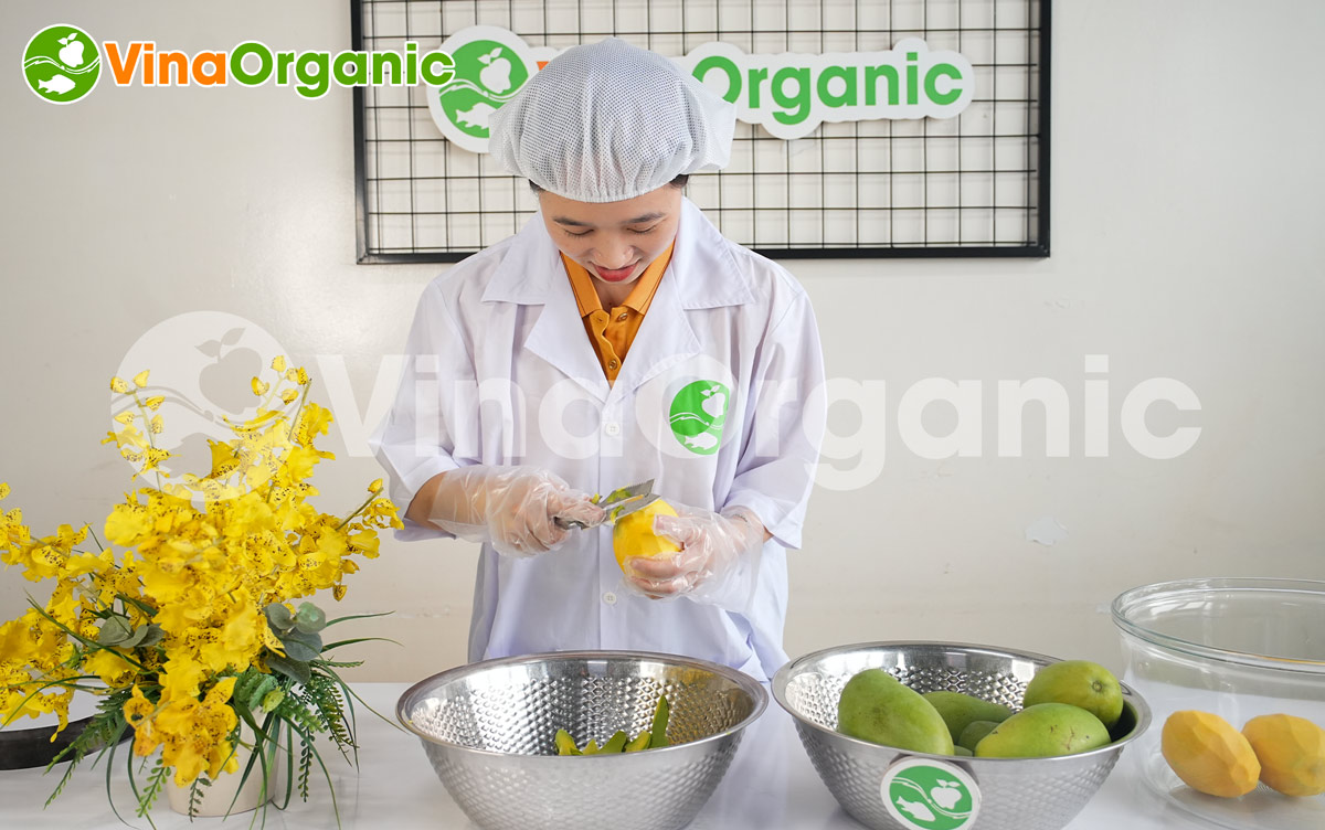 VinaOrganic cung cấp dây chuyền sản xuất xoài sấy dẻo, uy tín chất lượng, đảm bảo an toàn thực phẩm. Liên hệ Hotline 0975299798 0938299798