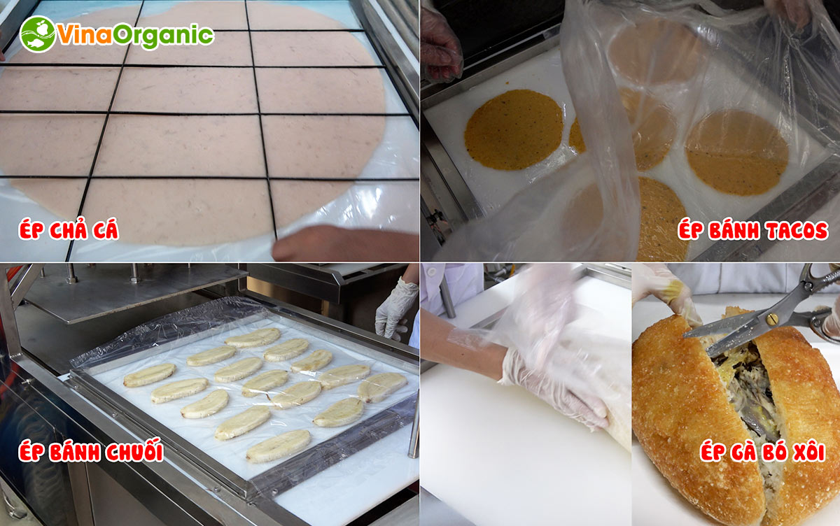 Định hình sản phẩm hoàn hảo với máy ép tạo hình của VinaOrganic. Tối ưu chi phí, nâng cao năng suất. Liên hệ tư vấn miễn phí!