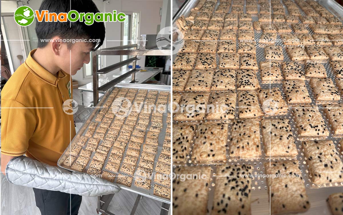 VinaOrganic thực hiện chuyển giao công nghệ bánh mầm gạo lứt cho khách hàng tại Hà Nội. Quy trình tối ưu, hiệu quả và năng suất. Liên hệ ngay!