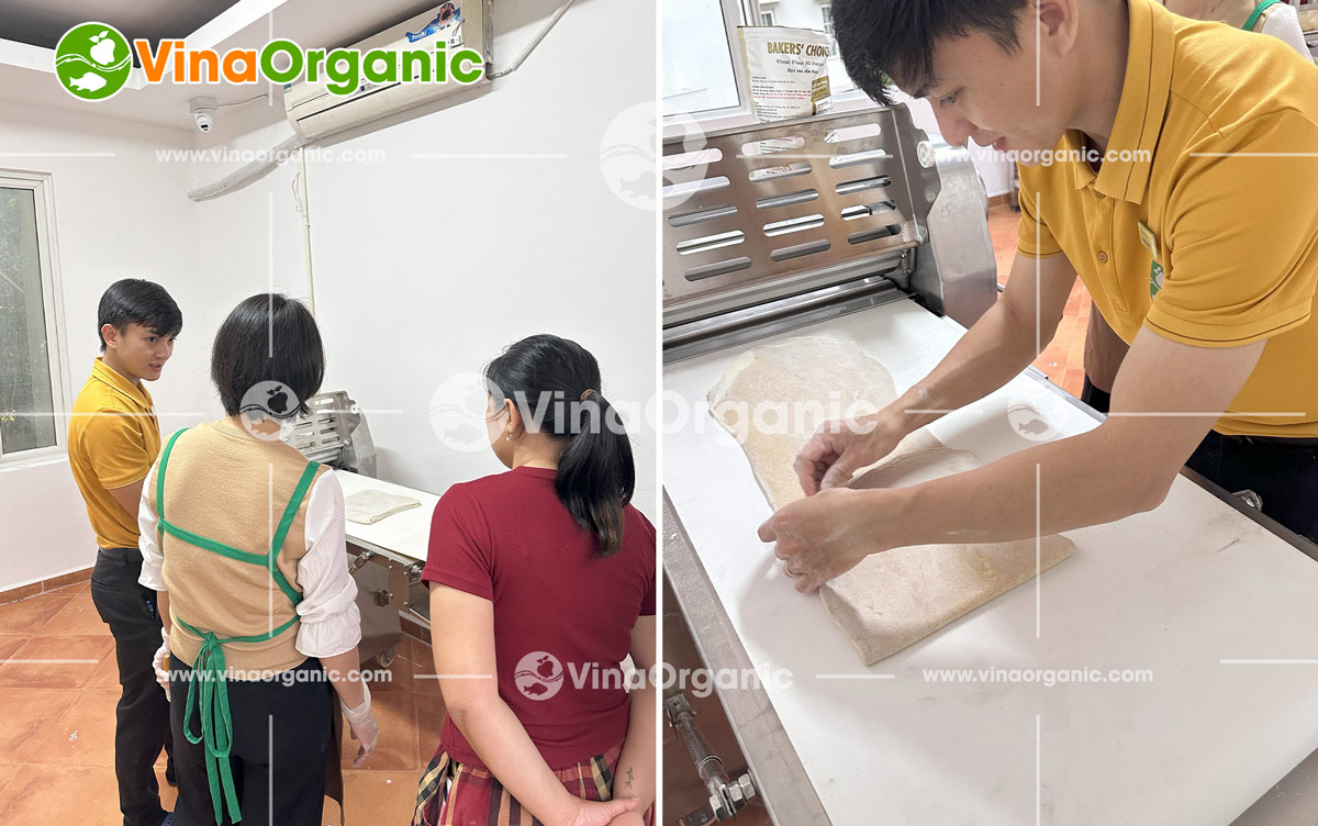 VinaOrganic thực hiện chuyển giao công nghệ bánh mầm gạo lứt cho khách hàng tại Hà Nội. Quy trình tối ưu, hiệu quả và năng suất. Liên hệ ngay!