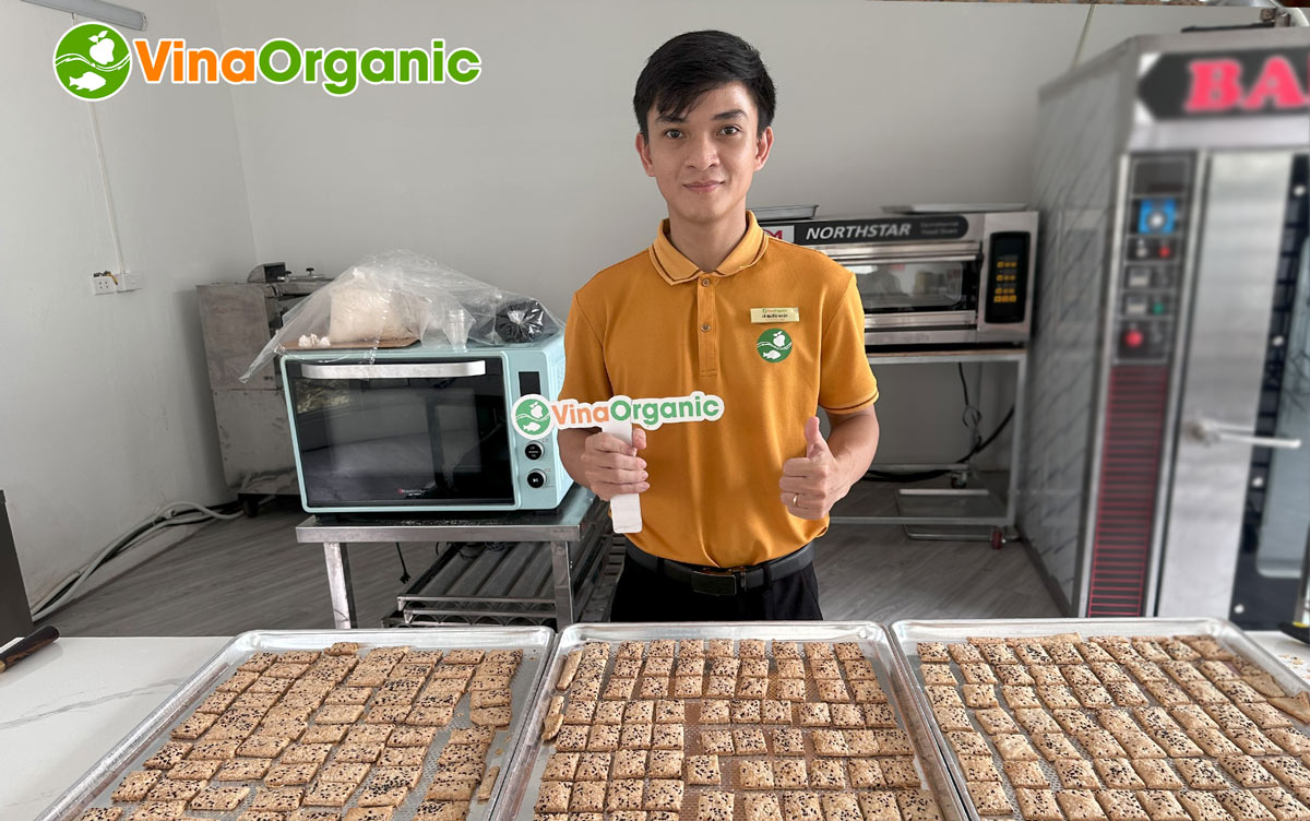 VinaOrganic thực hiện chuyển giao công nghệ bánh mầm gạo lứt cho khách hàng tại Hà Nội. Quy trình tối ưu, hiệu quả và năng suất. Liên hệ ngay!