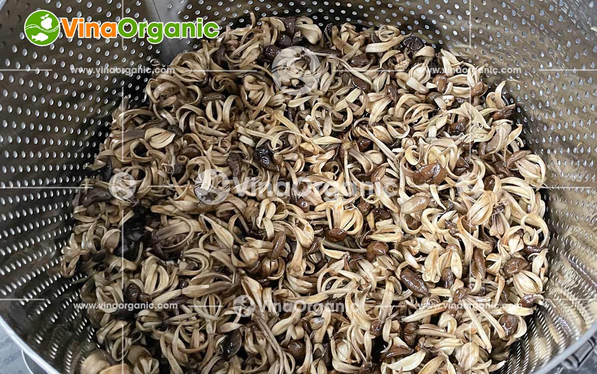 Snack nấm mối, một hương vị độc đáo từ thiên nhiên, đang dần khẳng định vị thế trên thị trường. Nhận thấy tiềm năng to lớn đó tại An Giang