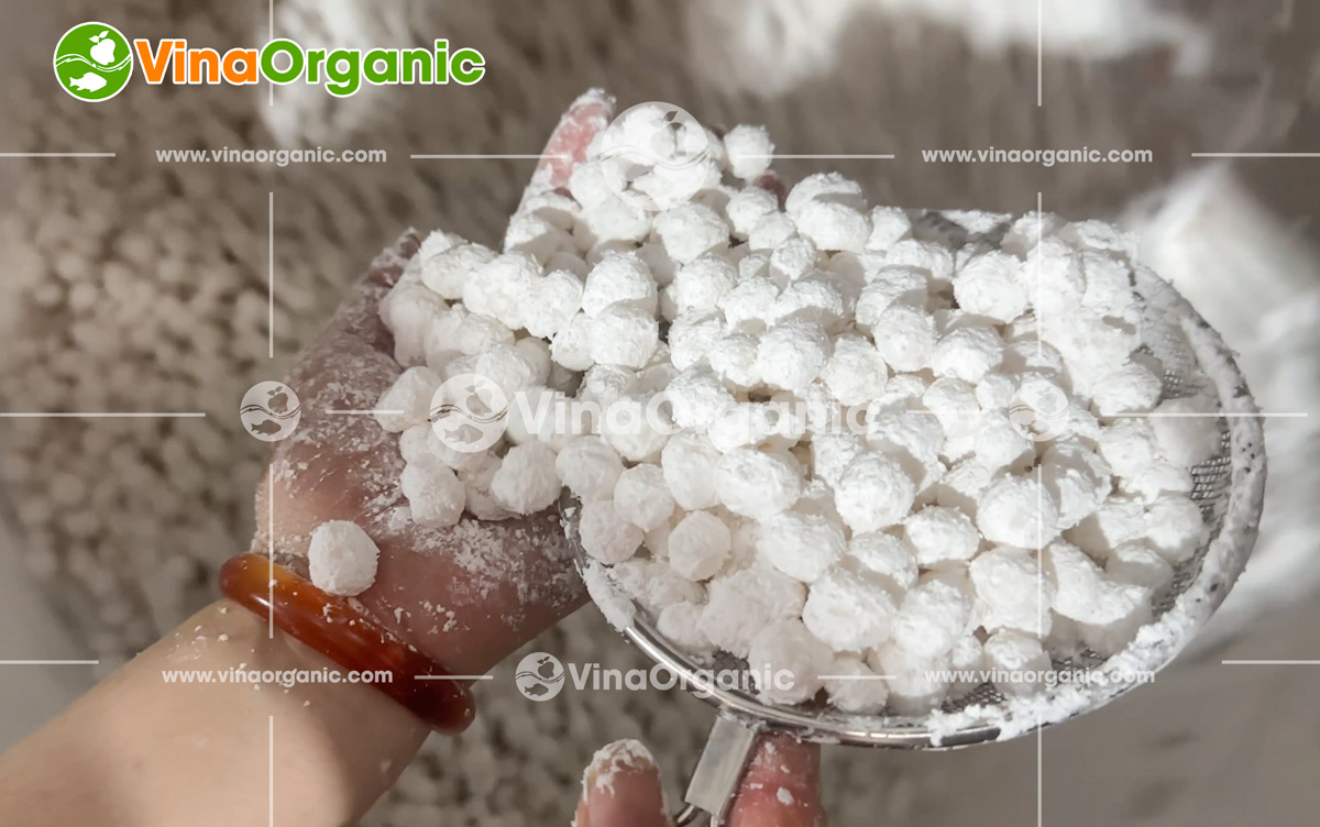 Khám phá quy trình VinaOrganic bàn giao dây chuyền sản xuất trân châu nhân dừa hiện đại tại Hải Dương. Liên hệ ngay để được tư vấn chi tiết!