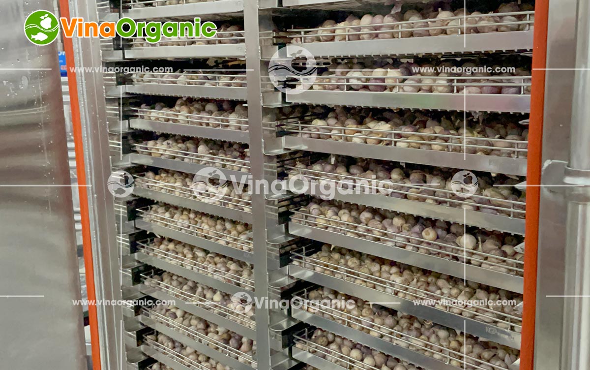 VinaOrganic tin rằng sức khỏe là vàng và tỏi đen chính là món quà quý giá từ thiên nhiên. Để tối ưu hóa những lợi ích tuyệt vời này, VinaOrganic đã nghiên cứu và phát triển công nghệ lên men tỏi đen độc quyền, tạo ra sản phẩm tỏi đen với chất lượng vượt trội.