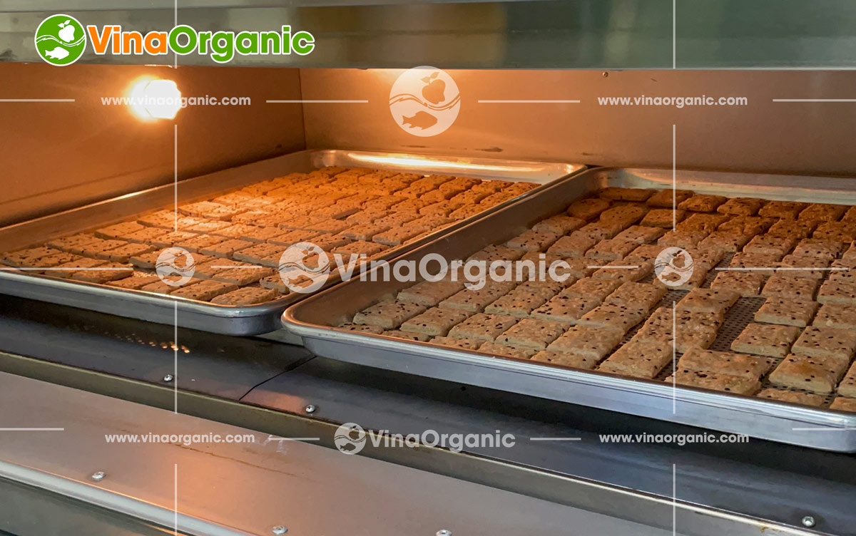 VinaOrganic chuyển giao công nghệ bánh mầm gạo lứt cho khách hàng tại Quảng Nam. Quy trình tối ưu, hiệu quả và năng suất. Liên hệ ngay!