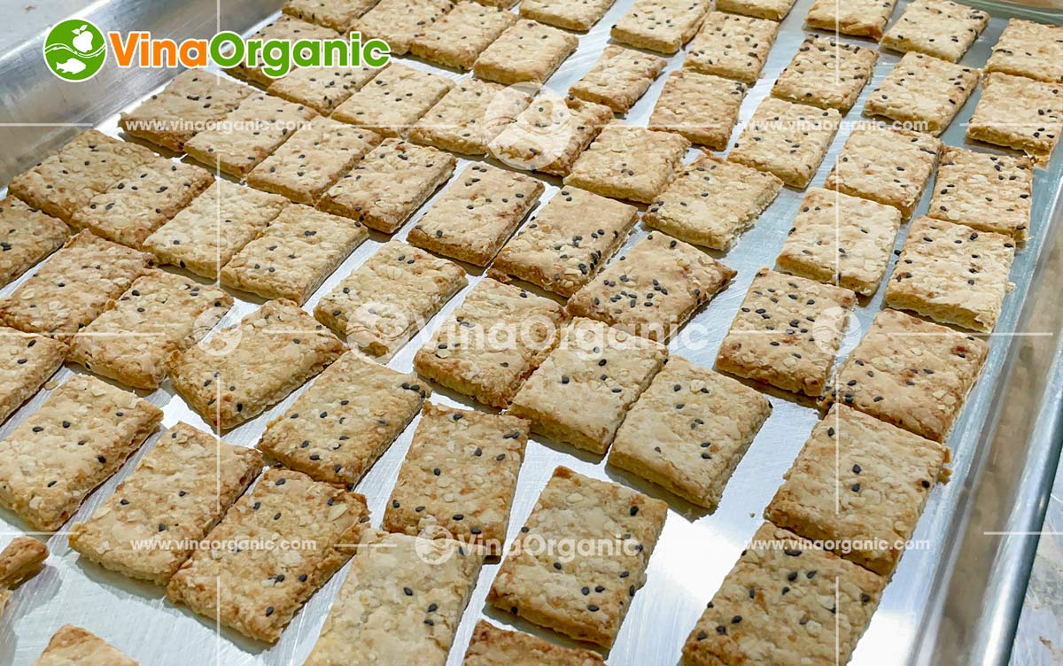 VinaOrganic chuyển giao công nghệ bánh mầm gạo lứt cho khách hàng tại Quảng Nam. Quy trình tối ưu, hiệu quả và năng suất. Liên hệ ngay!