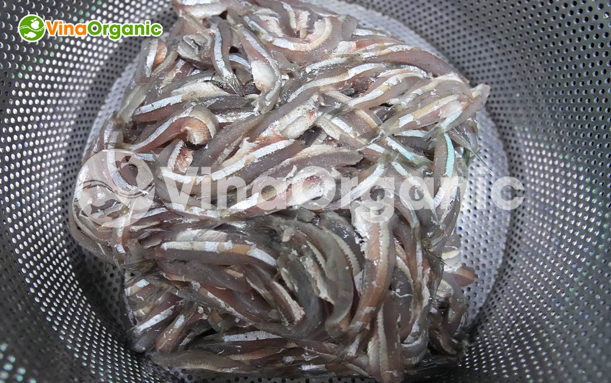 VinaOrganic chuyển giao công nghệ và máy sản xuất snack cá cơm giòn rụm, thơm ngon. Gọi ngay hotline 0975299798 - 0938299798.