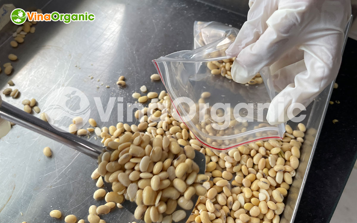 VinaOrganic chuyển giao công nghệ và máy sản xuất Tempeh từ nguyên liệu đậu hạt lên men, giàu dinh dưỡng. Liên hệ ngay Hotline Zalo 0975299798 - 0938299798.