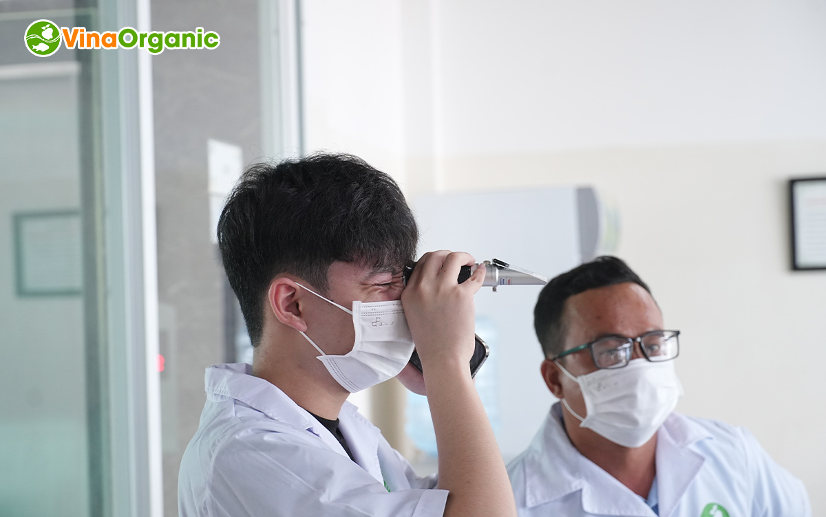 VinaOrganic vừa khép lại khóa học Dạy nghề sản xuất Đậu phộng tỏi ớt tháng 5, giúp học viên nắm được cách sản xuất thực tế món ăn vặt này.