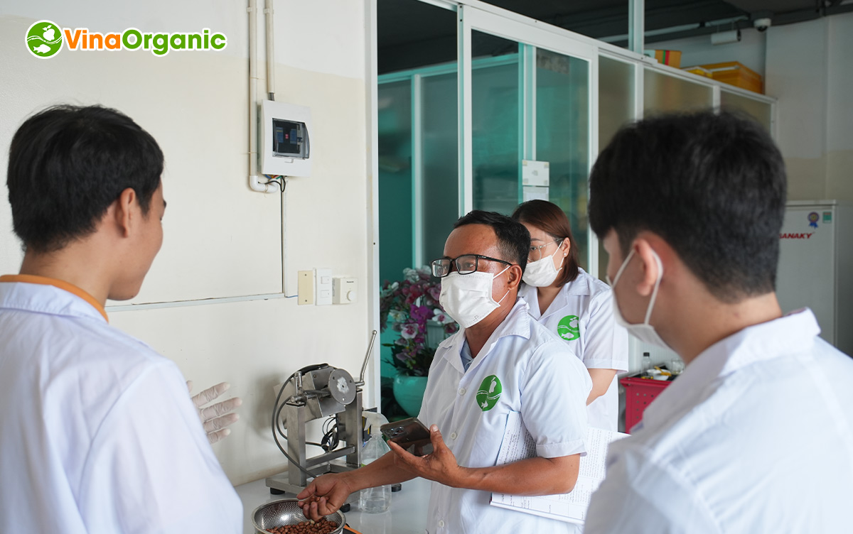 VinaOrganic vừa khép lại khóa học Dạy nghề sản xuất Đậu phộng tỏi ớt tháng 5, giúp học viên nắm được cách sản xuất thực tế món ăn vặt này.
