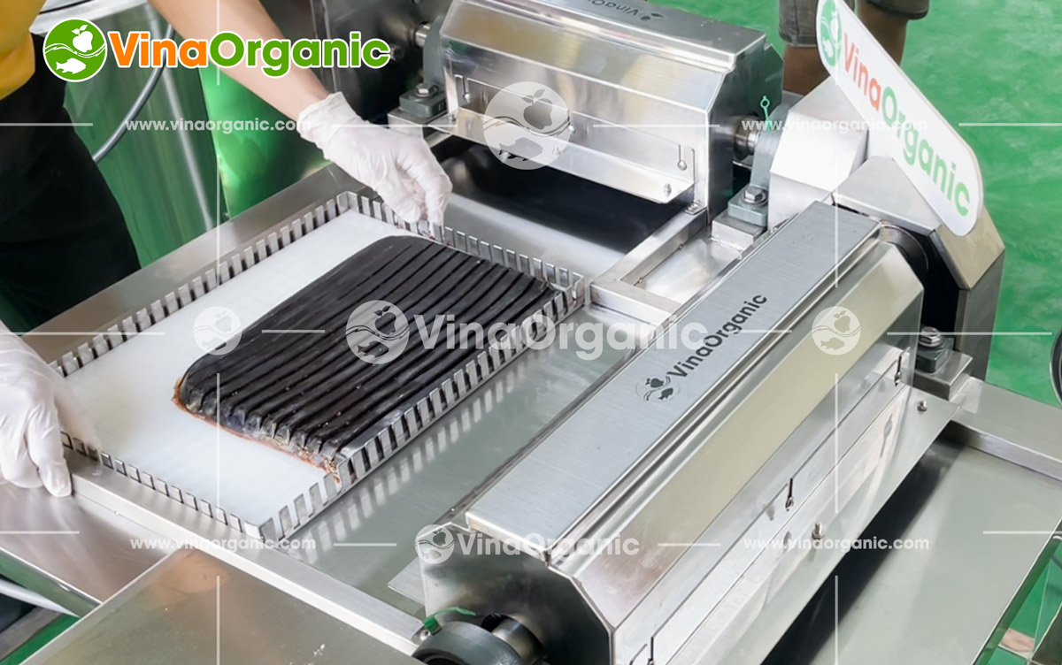 VinaOrganic cung cấp và chuyển giao công nghệ sản xuất kẹo dẻo toàn quốc, đa năng suất. Liên hệ tư vấn: 0938 299798 - 0975 299798