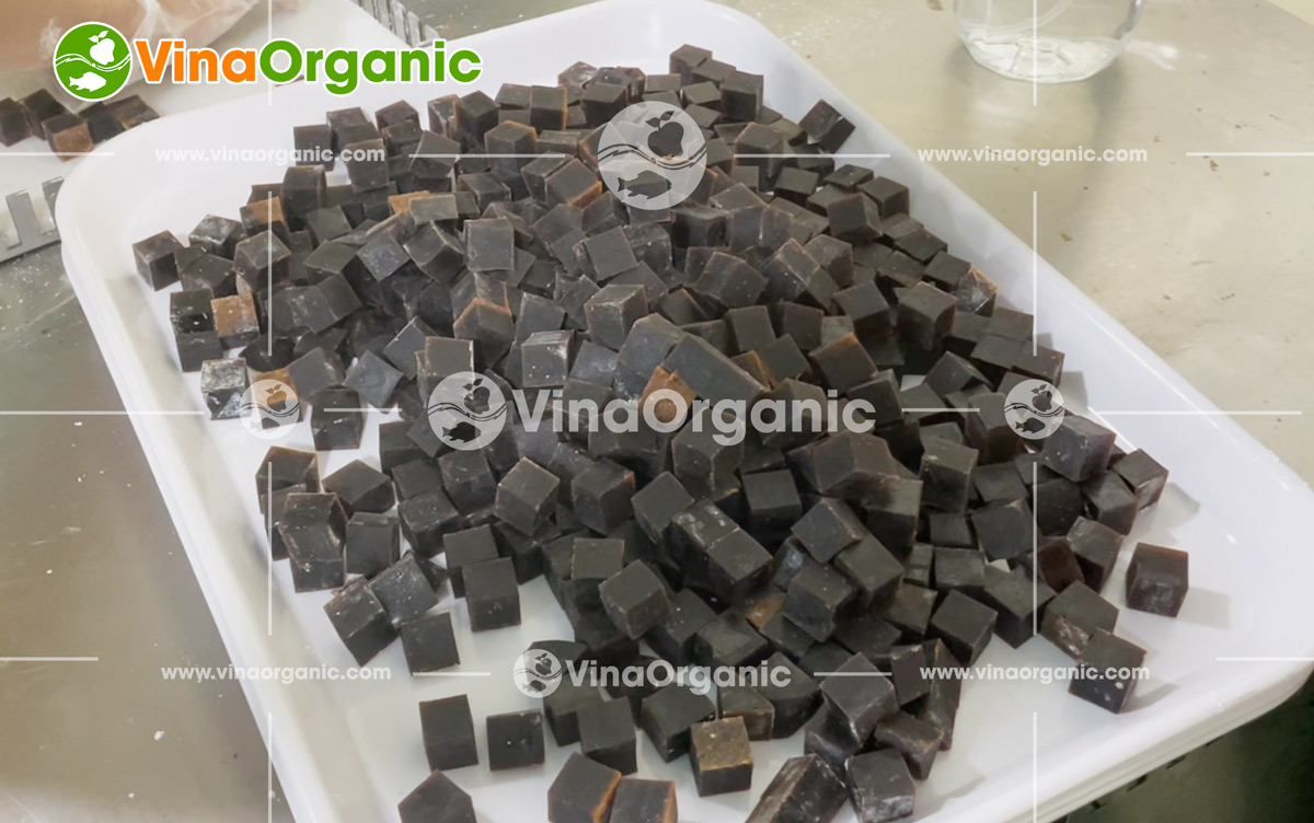 VinaOrganic cung cấp và chuyển giao công nghệ sản xuất kẹo dẻo toàn quốc, đa năng suất. Liên hệ tư vấn: 0938 299798 - 0975 299798