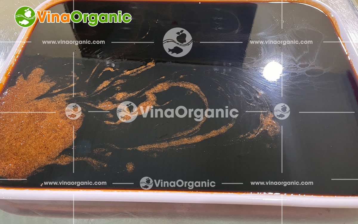 VinaOrganic cung cấp và chuyển giao công nghệ sản xuất kẹo dẻo toàn quốc, đa năng suất. Liên hệ tư vấn: 0938 299798 - 0975 299798