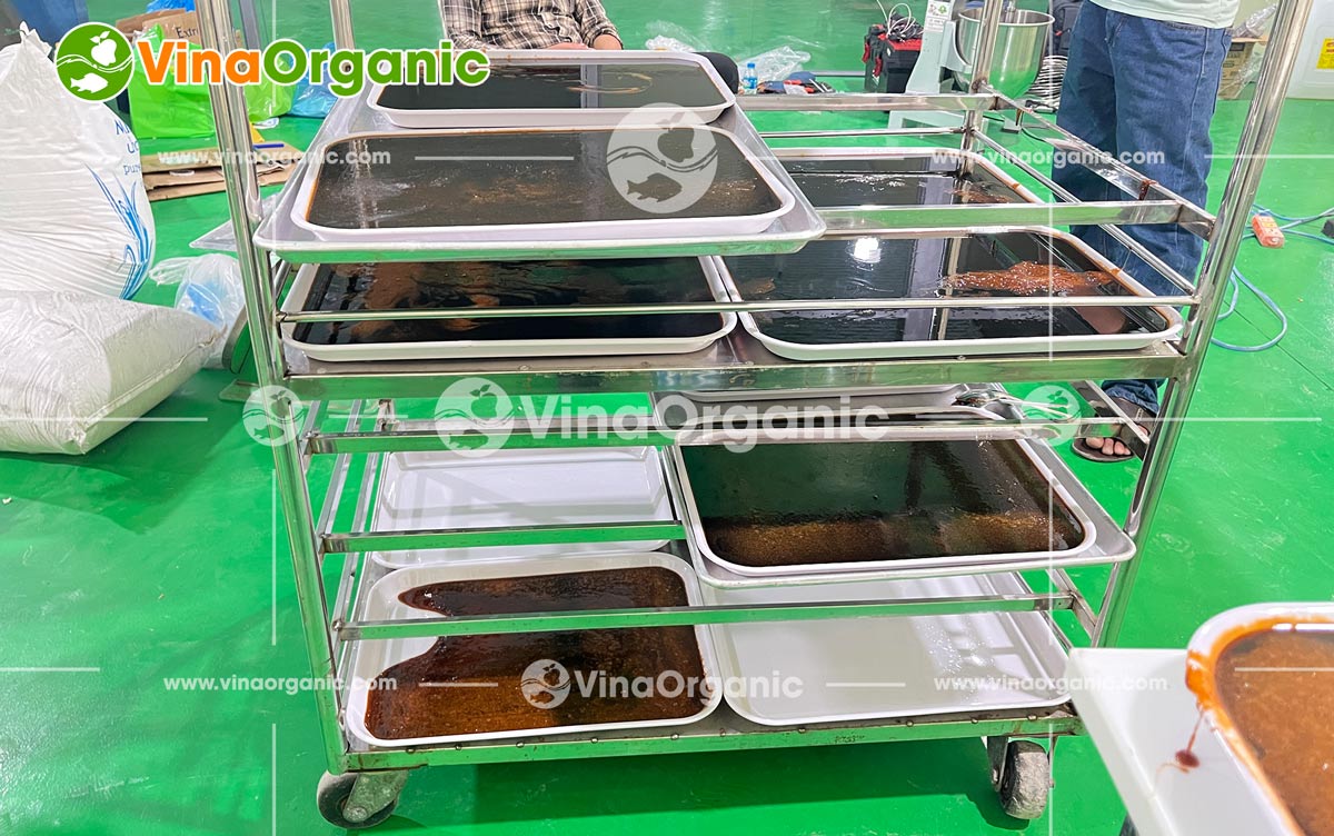 VinaOrganic cung cấp và chuyển giao công nghệ sản xuất kẹo dẻo toàn quốc, đa năng suất. Liên hệ tư vấn: 0938 299798 - 0975 299798