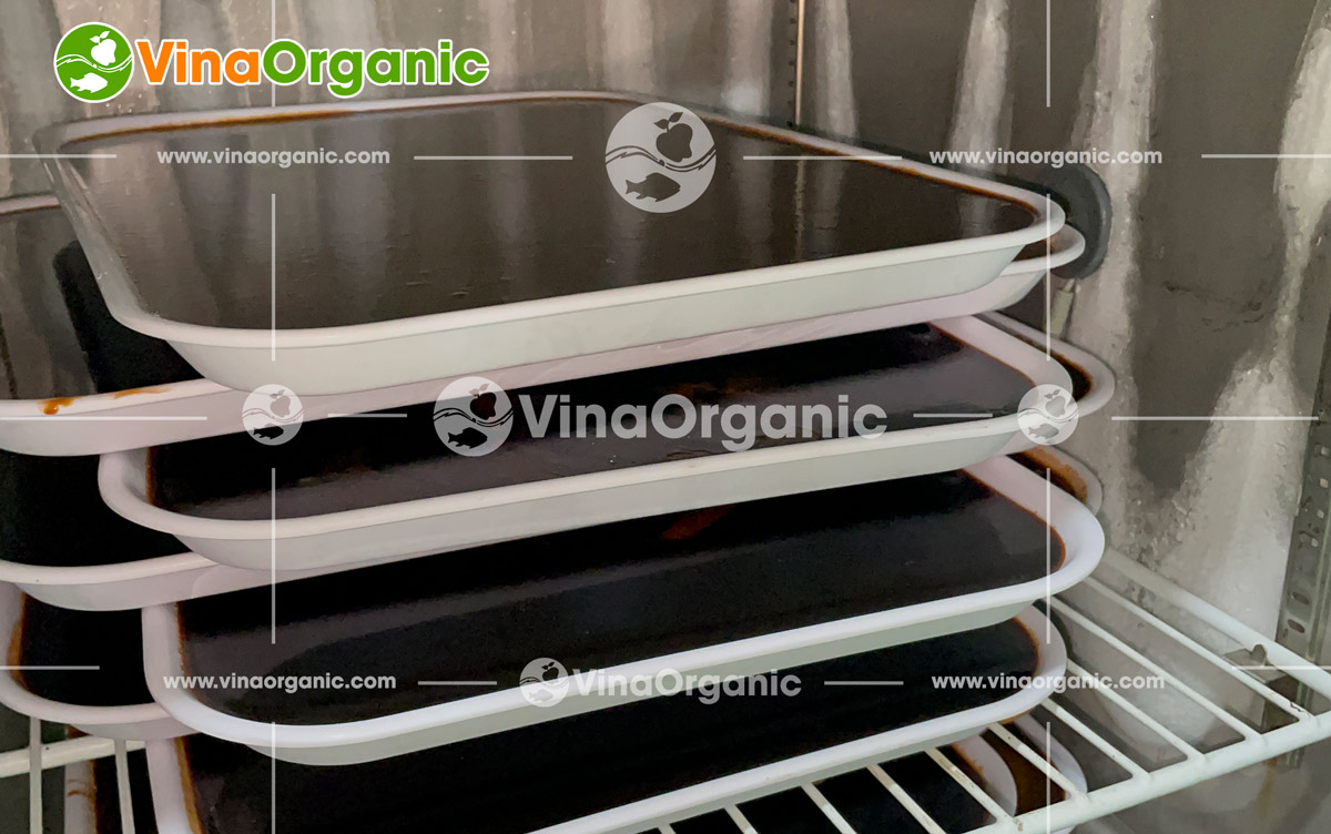 VinaOrganic cung cấp và chuyển giao công nghệ sản xuất kẹo dẻo toàn quốc, đa năng suất. Liên hệ tư vấn: 0938 299798 - 0975 299798