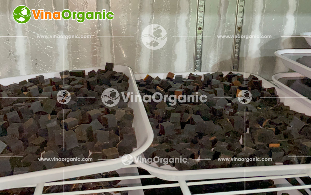 VinaOrganic cung cấp và chuyển giao công nghệ sản xuất kẹo dẻo toàn quốc, đa năng suất. Liên hệ tư vấn: 0938 299798 - 0975 299798