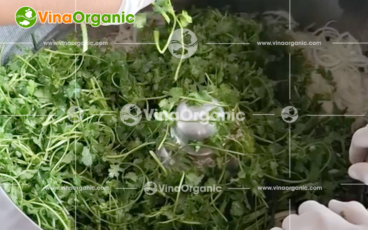 VinaOrganic bàn giao lắp đặt máy ly tâm 20-30kg tại Thành phố Hồ Chí Minh. Liên hệ tư vấn: 0938 299798 - 0975 299798