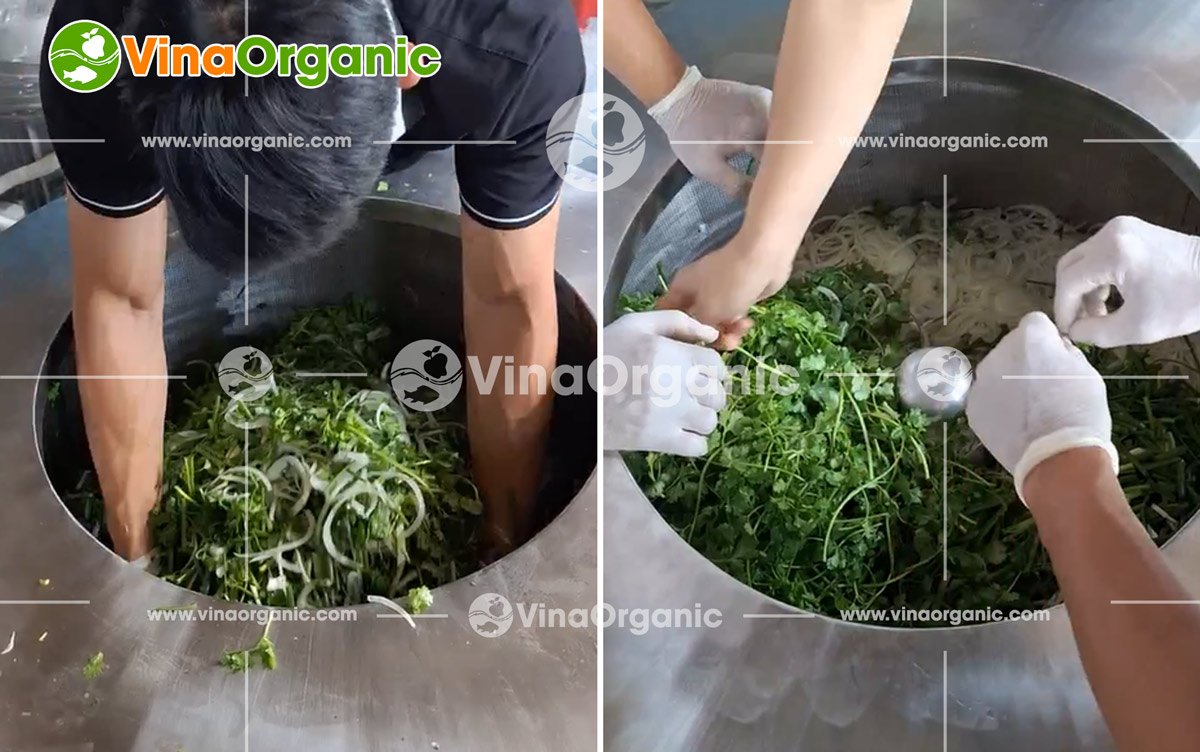 VinaOrganic bàn giao lắp đặt máy ly tâm 20-30kg tại Thành phố Hồ Chí Minh. Liên hệ tư vấn: 0938 299798 - 0975 299798