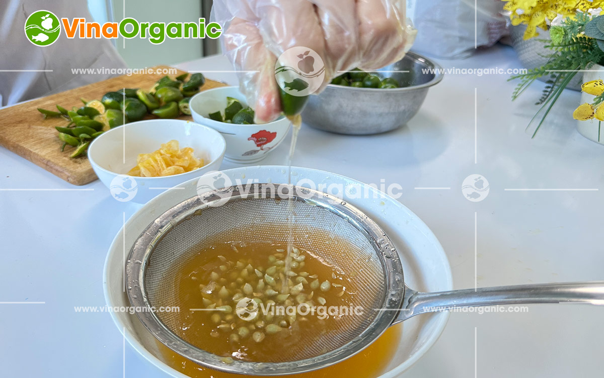 chuyen-giao-cong-nghe-muoi-ot-xot-cham-muoi-ot-chanh-xot-me-chua-ngot-tai-lab-vinaorganic