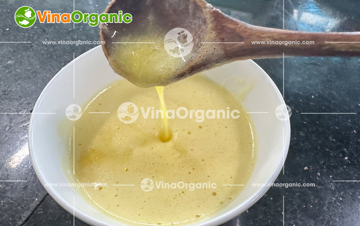 chuyen-giao-cong-nghe-muoi-ot-xot-cham-muoi-ot-chanh-xot-me-chua-ngot-tai-lab-vinaorganic