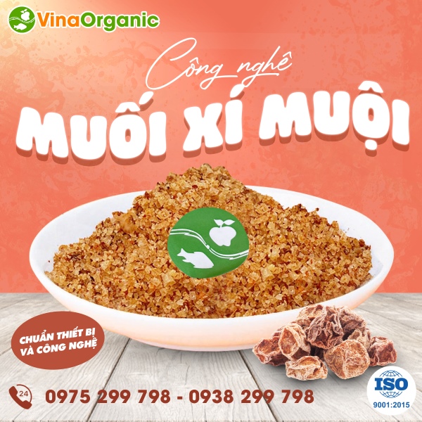 Chuyển giao công nghệ Muối xí muội chua ngọt mặn tròn vị, ngon khó cưỡng