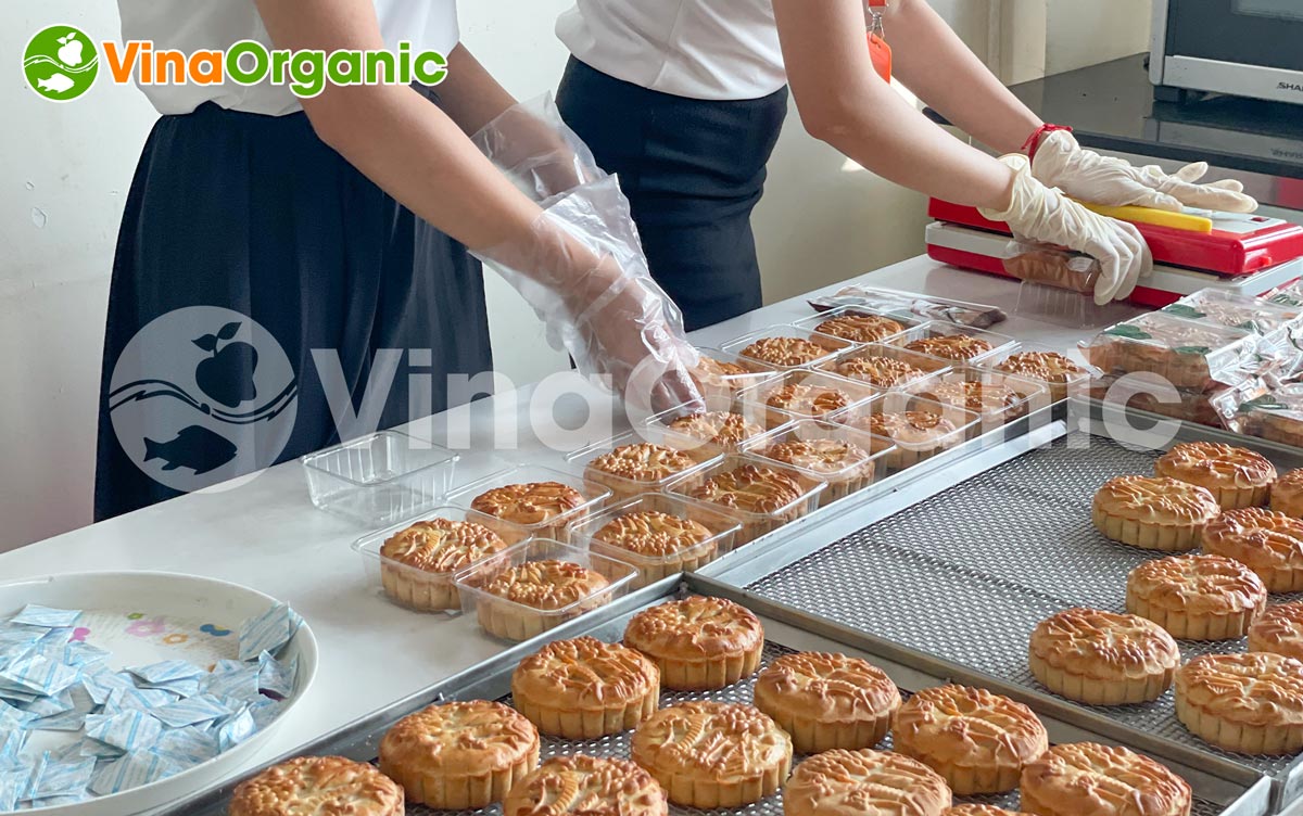 VinaOrganic cung cấp dây chuyền sản xuất bánh trung thu mềm dẻo, vỏ bánh không nứt vỡ, thơm ngon. Liên hệ Hotline: 0975299798 - 0938299798.