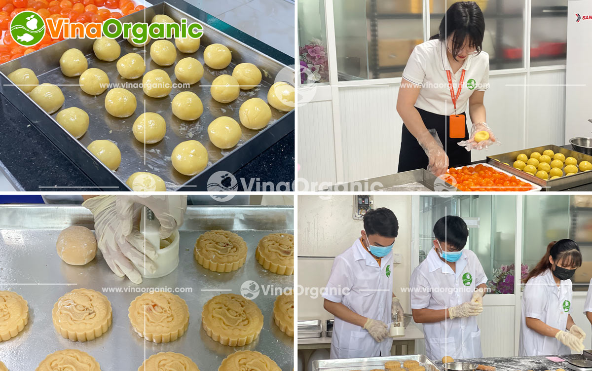VinaOrganic cung cấp dây chuyền sản xuất bánh trung thu mềm dẻo, vỏ bánh không nứt vỡ, thơm ngon. Liên hệ Hotline: 0975299798 - 0938299798.