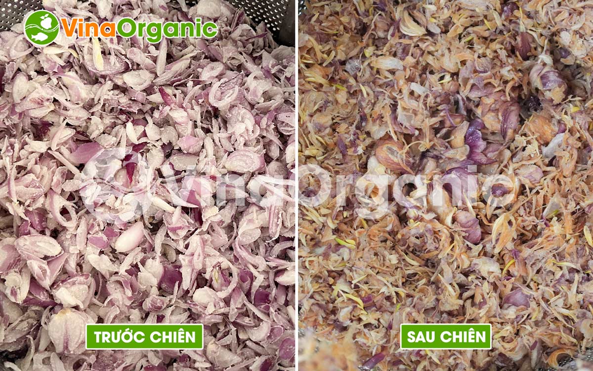 VinaOrganic cung cấp dây chuyền sản xuất hành phi chiên chân không màu sắc vàng sáng, hấp dẫn. Liên hệ Hotline 0975299798 - 0938299798.