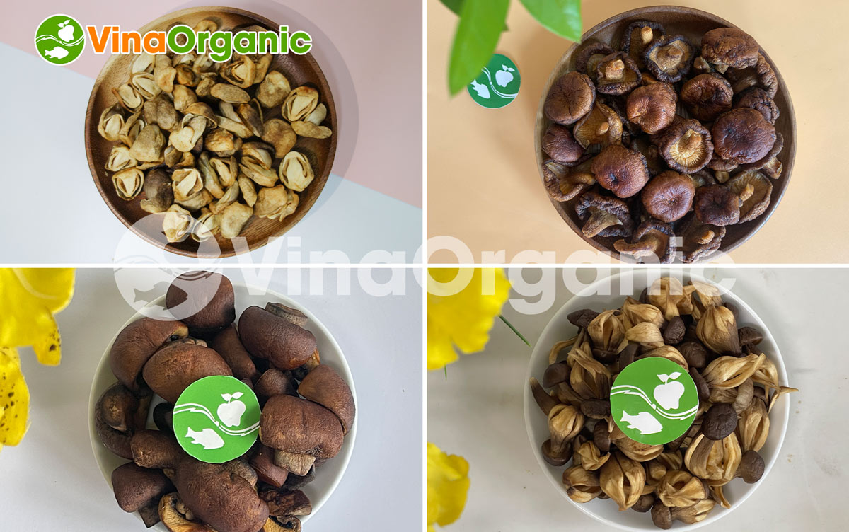 VinaOrganic cung cấp dây chuyền sản xuất snack nấm giòn xốp, thơm ngon, chất lượng cao. Liên hệ Hotline/zalo: 0975299798 - 0938299798.
