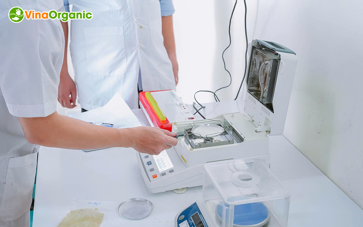 Hãy cùng VinaOrganic tổng kết lại một số hình ảnh của lớp học Khoá học R&D thực chiến trong tháng 6 vừa qua nhé!