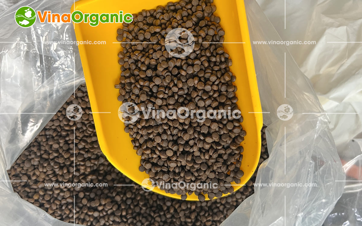 VinaOrganic bàn giao lắp đặt máy vê trộn dạng lục 5kg, giúp trộn nguyên liệu nhanh, đều và đẹp. Liên hệ 0975299798 để được tư vấn chi tiết.