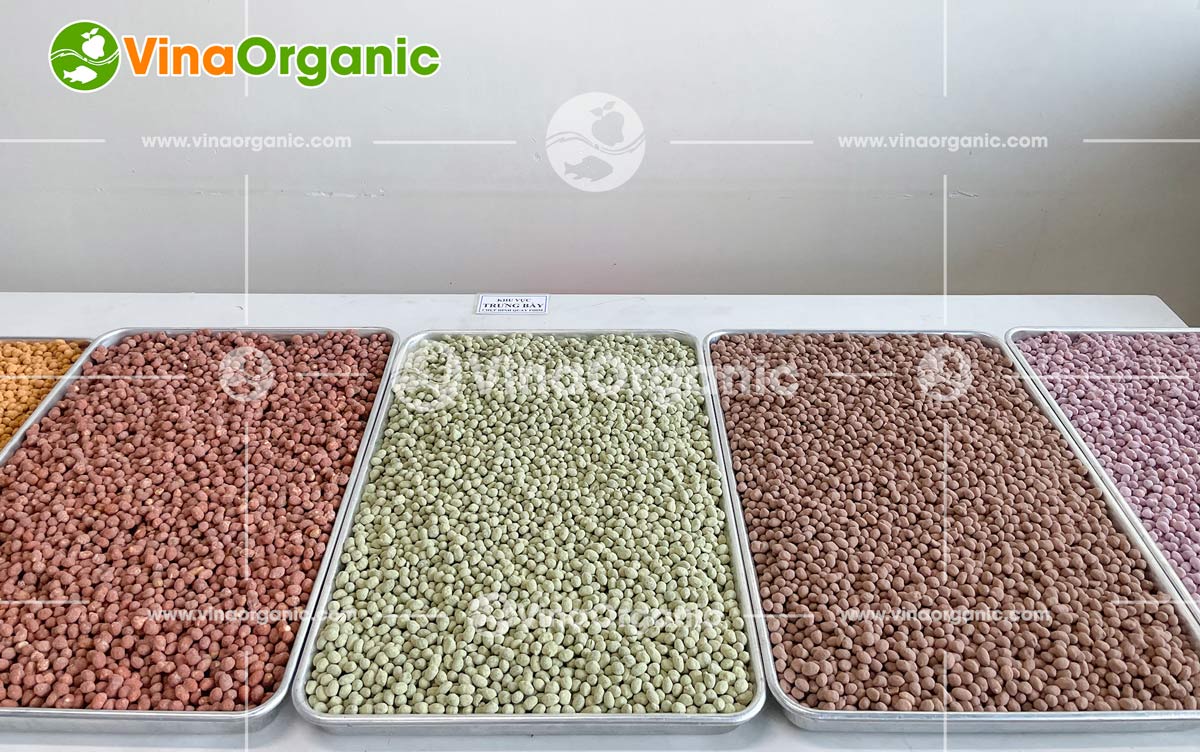 VinaOrganic Bàn giao và hướng dẫn sử dụng Dây chuyền sản xuất Đậu phộng Caramel tại Phú Quốc. Liên hệ tư vấn: 0938 299798 - 0975 299798