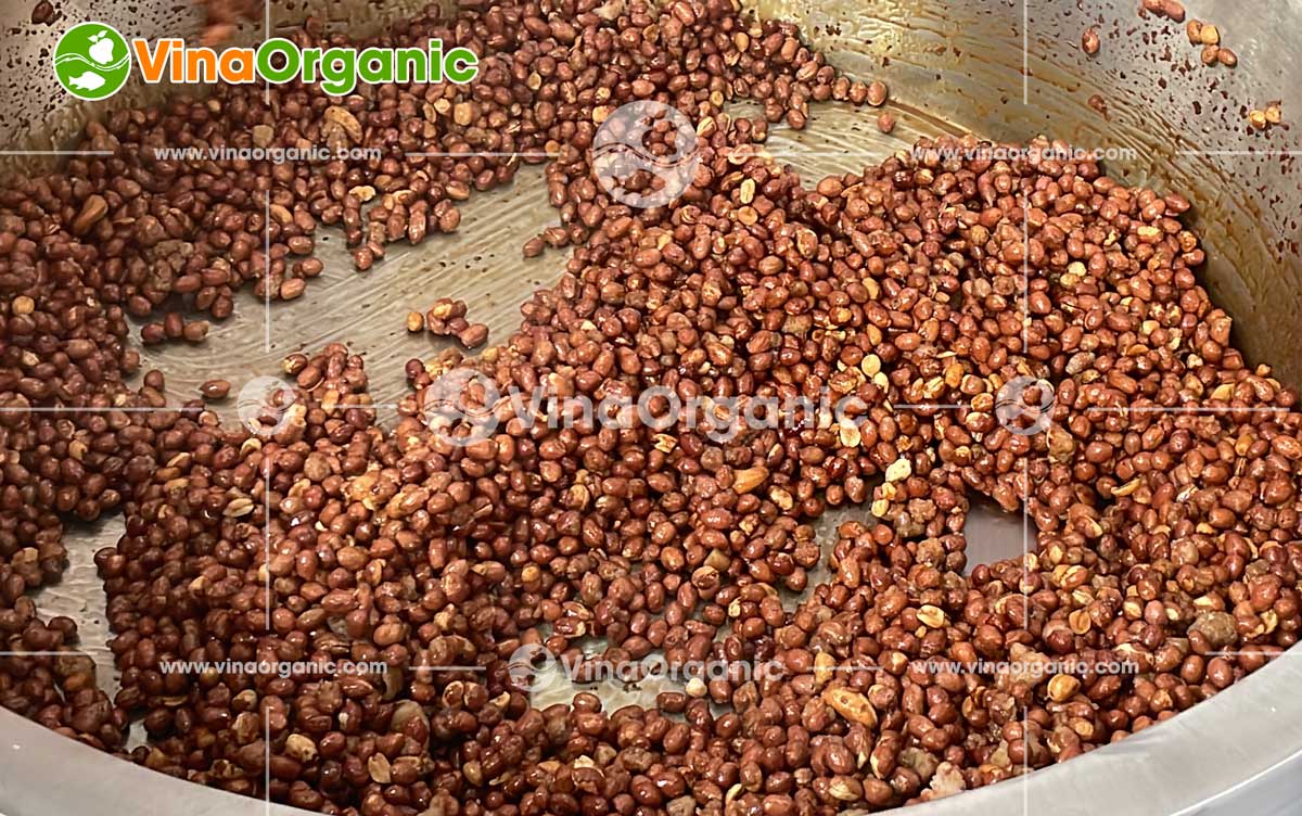 VinaOrganic Bàn giao và hướng dẫn sử dụng Dây chuyền sản xuất Đậu phộng Caramel tại Phú Quốc. Liên hệ tư vấn: 0938 299798 - 0975 299798