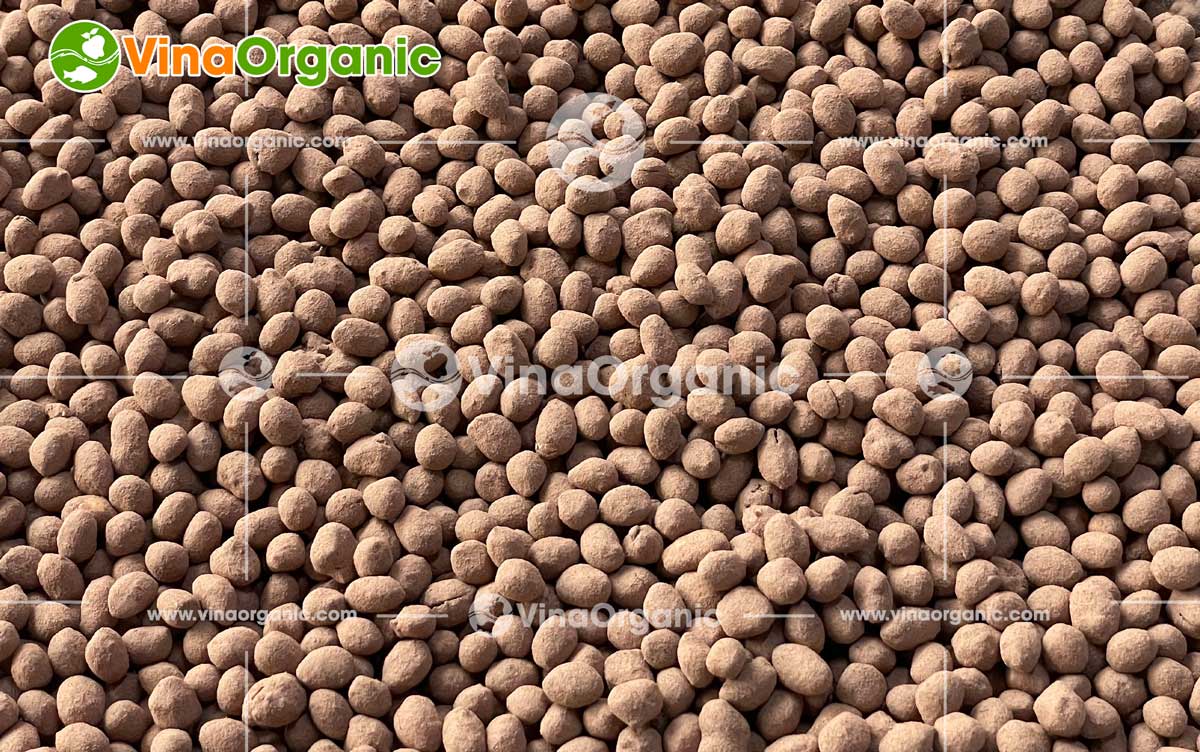 VinaOrganic Bàn giao và hướng dẫn sử dụng Dây chuyền sản xuất Đậu phộng Caramel tại Phú Quốc. Liên hệ tư vấn: 0938 299798 - 0975 299798