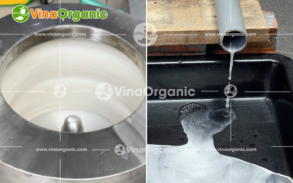 Máy ly tâm xả đáy tách dầu, tách dầu, tách nước đa dạng thực phẩm. Liên hệ Hotline 0938299798 - 0975299798 để tư vấn miễn phí.